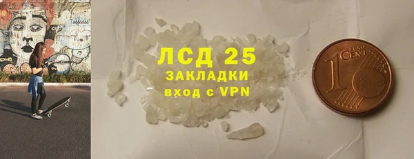 прущие грибы Алексин