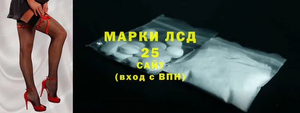 прущие грибы Алексин