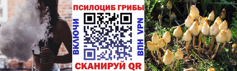 Галлюциногенные грибы Psilocybine cubensis  OMG ССЫЛКА  Кропоткин 